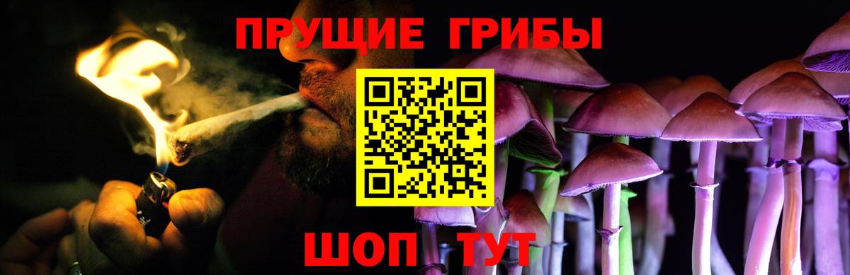 Галлюциногенные грибы Psilocybe  Галлюциногенные грибы мухоморы  где найти   Вход с VPN  Жуковский 